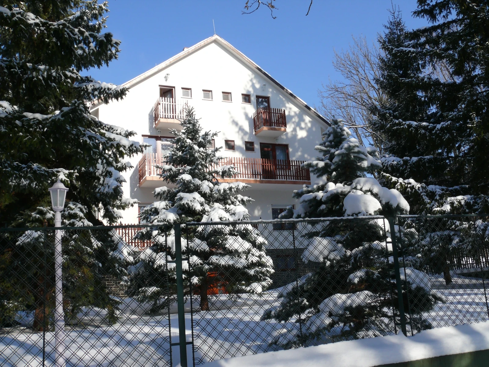A Feketerigó környezete télen